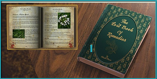 The Lost Book Of Remedies Review