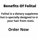 Folital Review